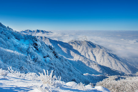 魏轻和岳山摄影照片_韩国冬天，雪岳山被晨雾覆盖。