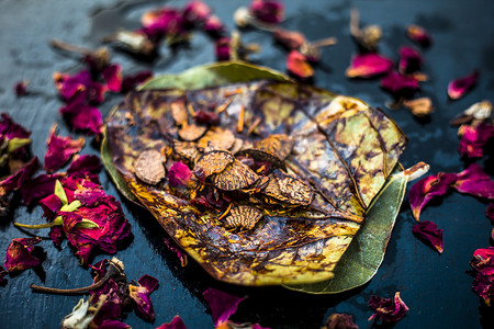 涂山苏苏新年摄影照片_黑色表面上著名的印度传统马萨拉锅或 meetha 锅的特写，上面有一些玫瑰水，包括涂有 sauf、supari、甜味剂和一些椰子粉。