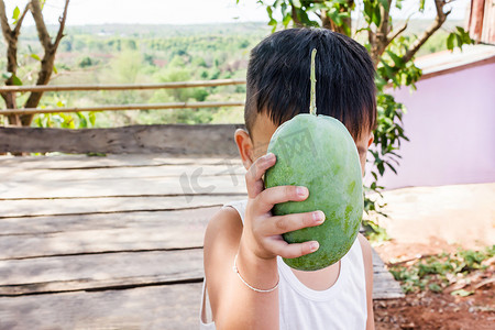 亚洲男孩展示或展示超级有机大鲜绿色芒果