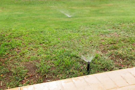 草坪浇水摄影照片_洒水器在花园里给草坪浇水。