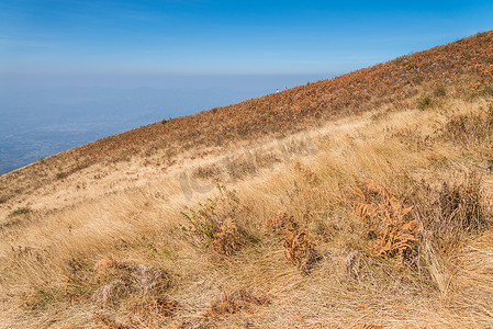 Doi Inthanon，清迈，泰国高山稀树草原草原