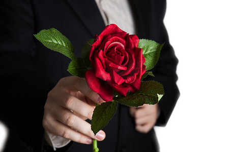 男性手呈现一朵红玫瑰