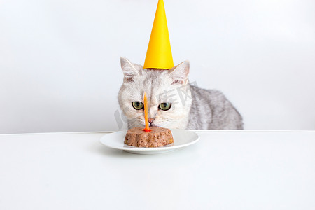 一只戴着黄色纸帽的白猫坐在一张白色的桌子旁，点着蜡烛吃着猫罐头蛋糕。