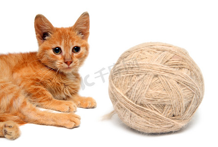 小猫和大线团的羊毛