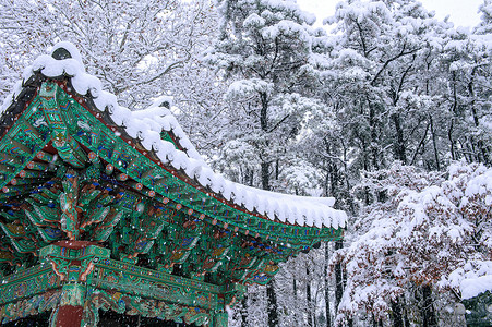 屋顶摄影照片_韩国首尔景福宫屋顶和落雪的冬季景观。
