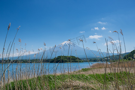 富士山和河口湖与游客在船上