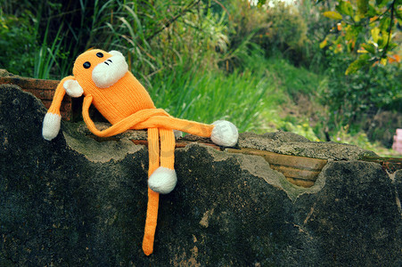 针织孤独的猴子，2016 年的象征