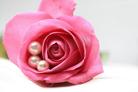 带珍珠的粉红玫瑰