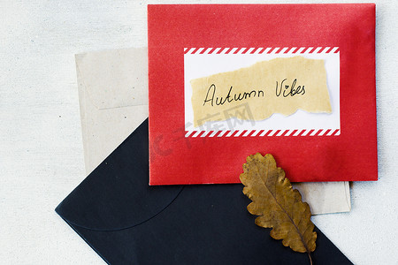 秋天的回忆摄影照片_信封和秋干植物和花朵，纸上的回忆词
