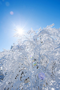 韩国冬天，雪岳山被晨雾覆盖。