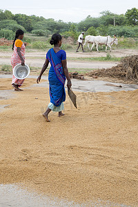 印度农村生活场景