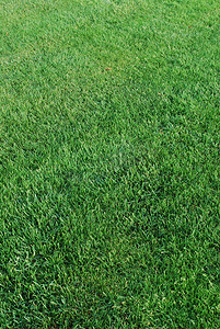 足球模板摄影照片_绿色草坪背景
