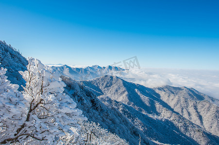 韩国冬天，雪岳山被晨雾覆盖。