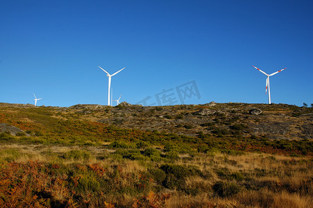 风电场中的四台风力发电机