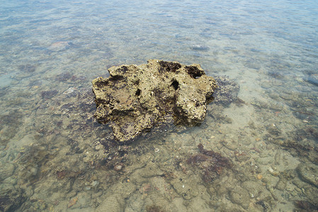 水中鹅卵石摄影照片_海沙水中的珊瑚石