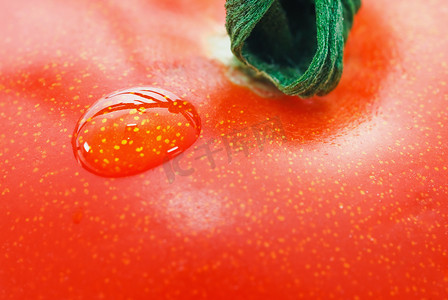 特写-红番茄