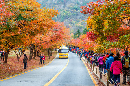 游客在秋季拍摄韩国 Naejangsan 周围美丽的风景。