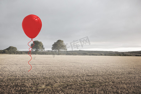 一大把气球摄影照片_字段上方的气球