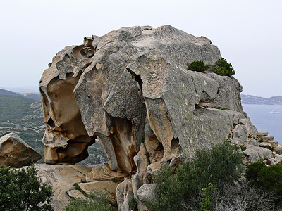 熊，卡波多尔索，Tafoni-Rock