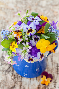 小花朵蓝色摄影照片_小束春天的花朵