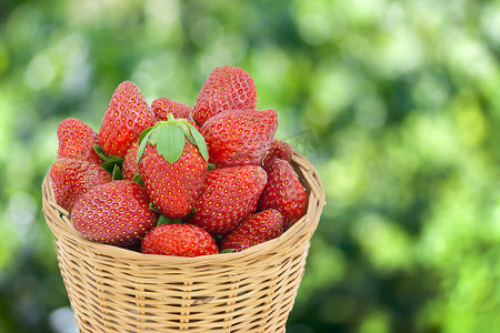绿色散景背景下篮子里的草莓