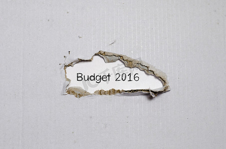 出现在撕纸后面的 2016 年预算一词