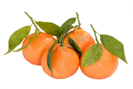橘子水果集合