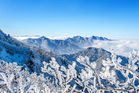 韩国冬天，雪岳山被晨雾覆盖。