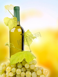 白葡萄酒瓶和葡萄
