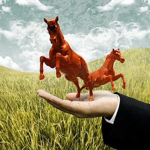 动物农场经营理念，投资者携带红马备案