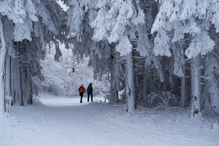 滑雪女孩子摄影照片_滑雪套间里的小女孩和她的父亲一起踏上了这条小路。