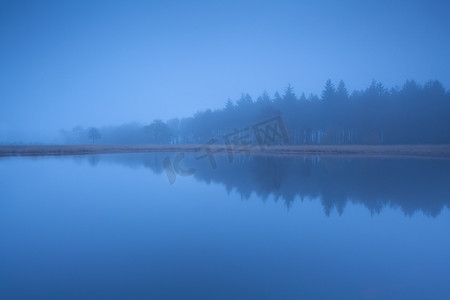 浓雾中湖边的森林剪影