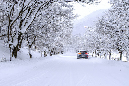 冬天在有很多雪的森林公路上的汽车和落雪。