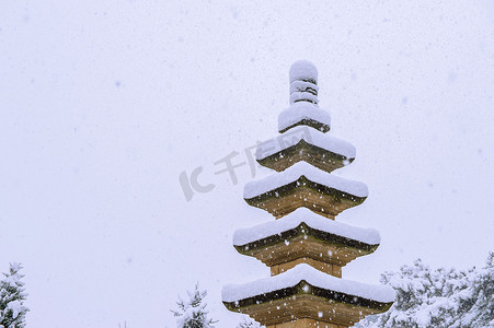 落雪的树木摄影照片_雪覆盖树木的冬天，石像落雪
