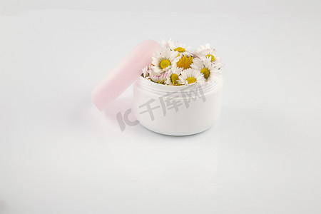 化妆品奶油盒中的雏菊和蒲公英