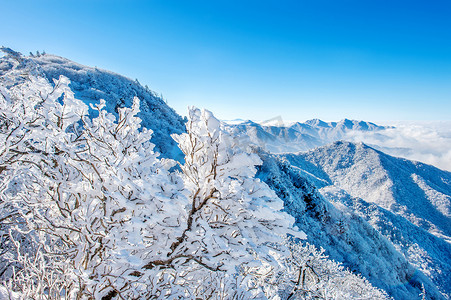韩国冬天，雪岳山被晨雾覆盖。