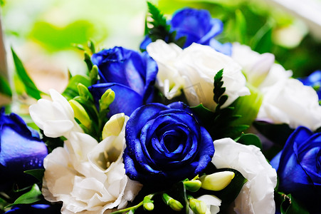 新娘蓝玫瑰