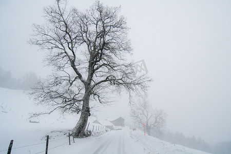 冬季乡村房屋摄影照片_乡村冬季景观