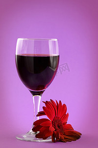 红酒和非洲菊