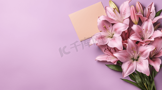 粉色百合花放在粉色背景右侧