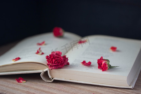 红色诗词摄影照片_干玫瑰和打开的书