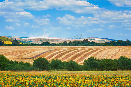 保加利亚的农田