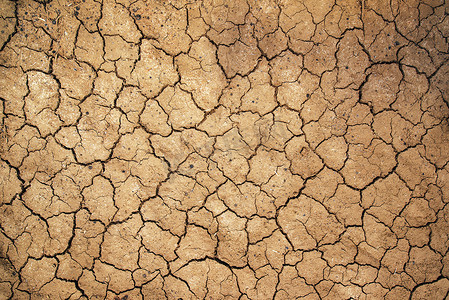 干旱的沙漠摄影照片_干土质地中的泥裂缝