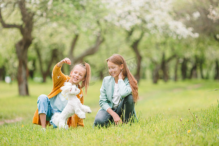 微笑的小女孩在公园里玩耍和拥抱小狗