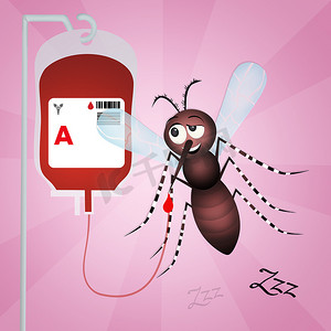 蚊子献血