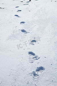 雪摄影照片_踩在雪地上