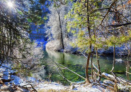 冬季 Leaves Snow 冰 Wenatchee River Valley Leavenworth Washi