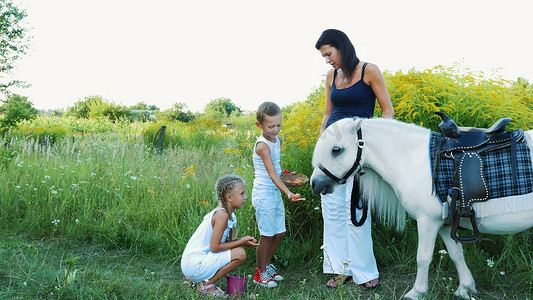 孩子们，一个男孩和一个七岁的女孩，喂了一匹白色的小马，给它吃胡萝卜。