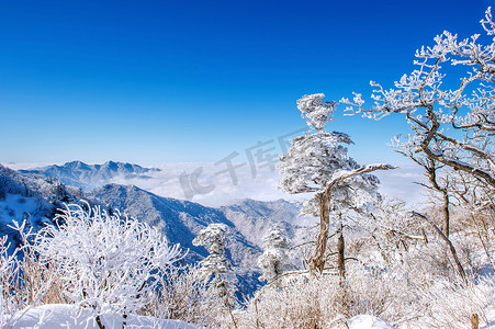 韩国冬天，雪岳山被晨雾覆盖。