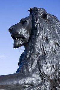 特拉法加狮子肖像